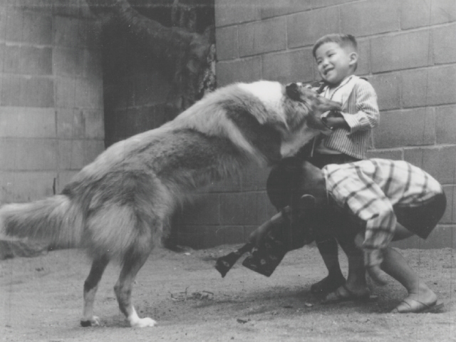 盲導犬への思い１
